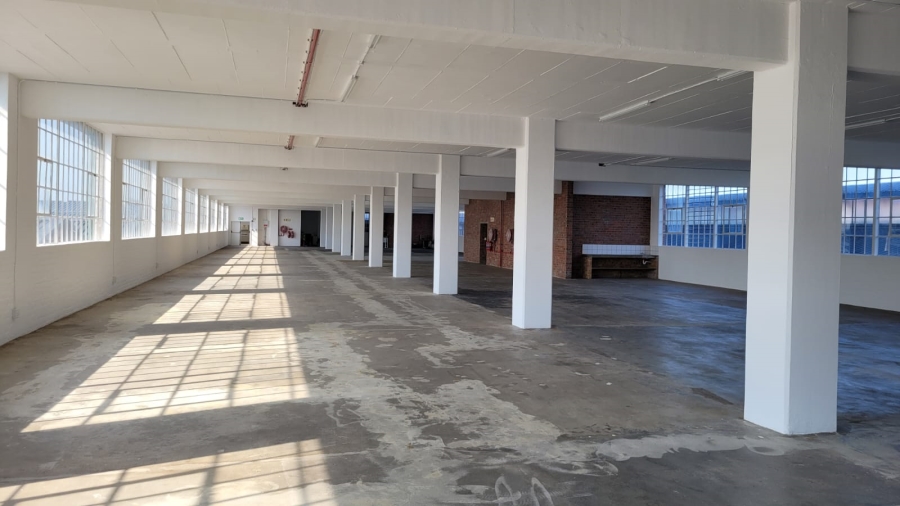 To Let commercial Property for Rent in Diep River Western Cape
